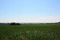 15: 2020-06-17 11-51-12_DSC_6946