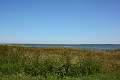 17: 2020-06-17 13-10-58_DSC_6950