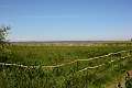 23: 2020-06-17 14-04-06_DSC_6958