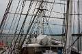 39: 2020-06-18 13-44-23_DSC_6976