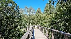 2: 20210902_Saarschleife-036