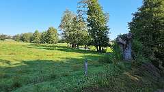 16: 20210903_Noswelder-See-10